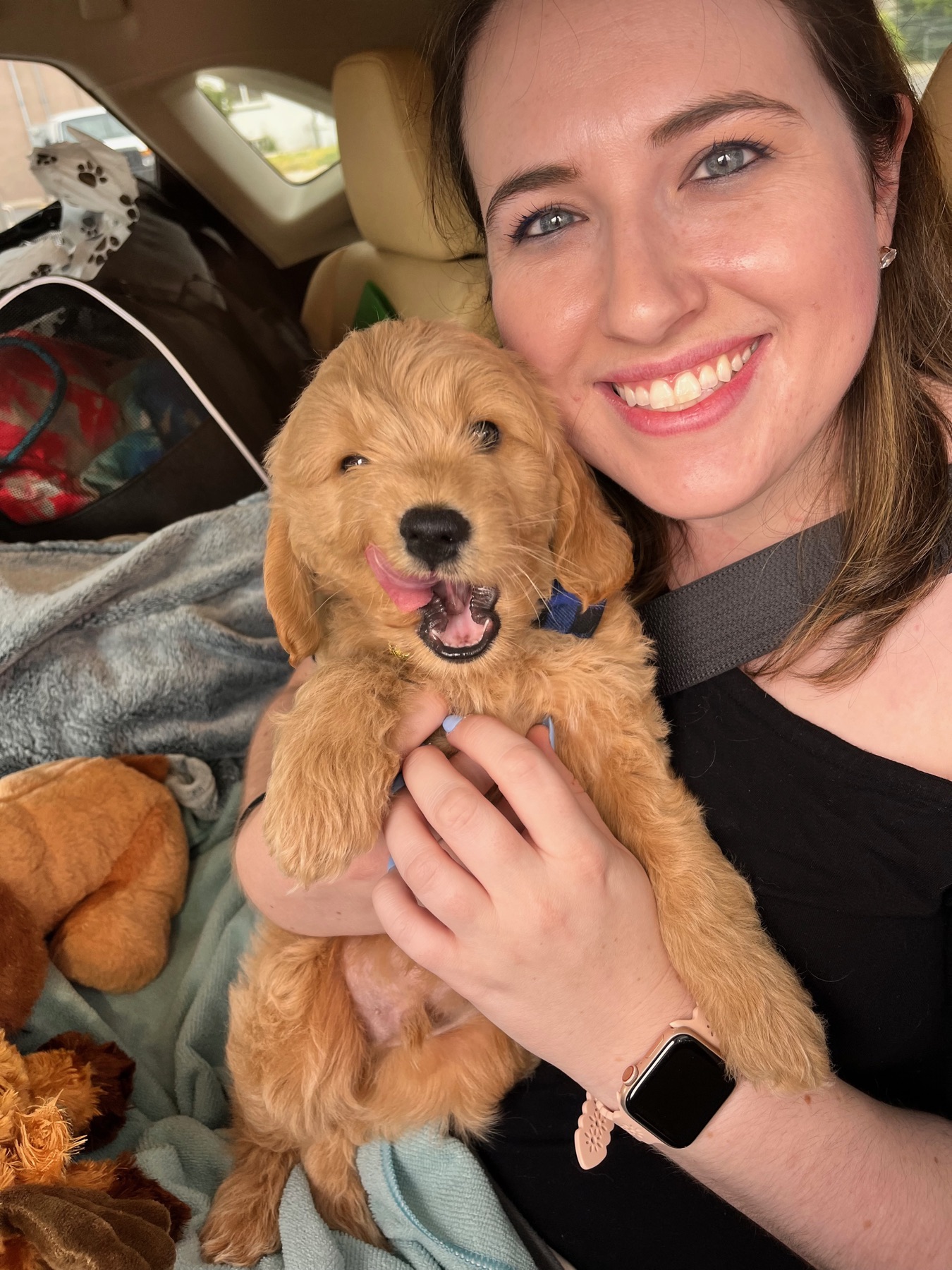 Arie as a puppy on day one