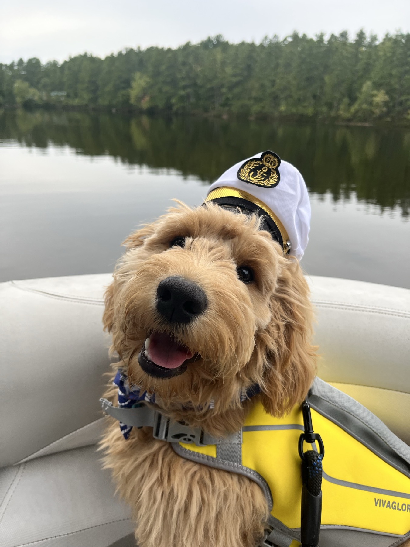 Arie in a captain hat and life vest