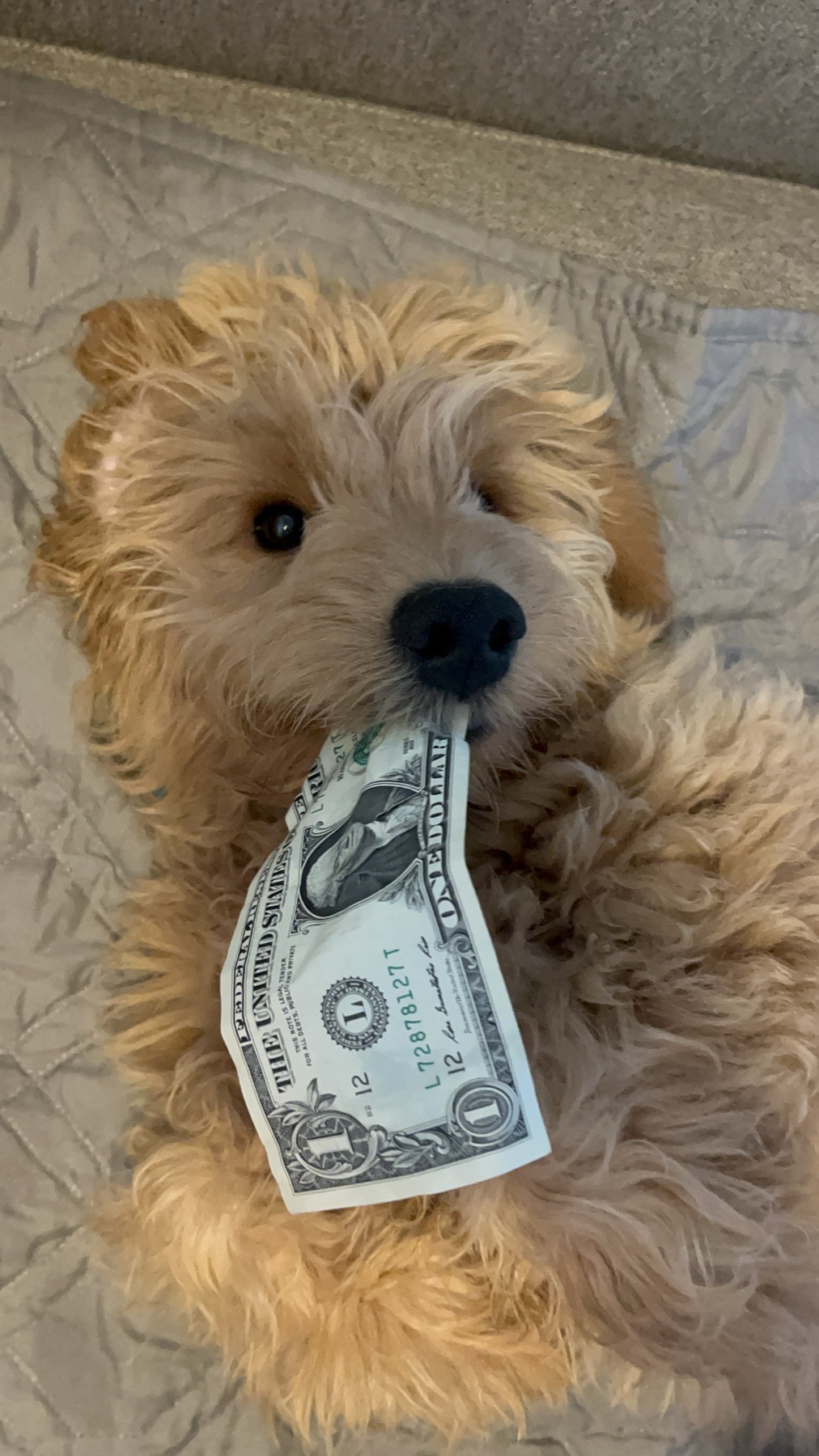 Arie holding a dollar bill