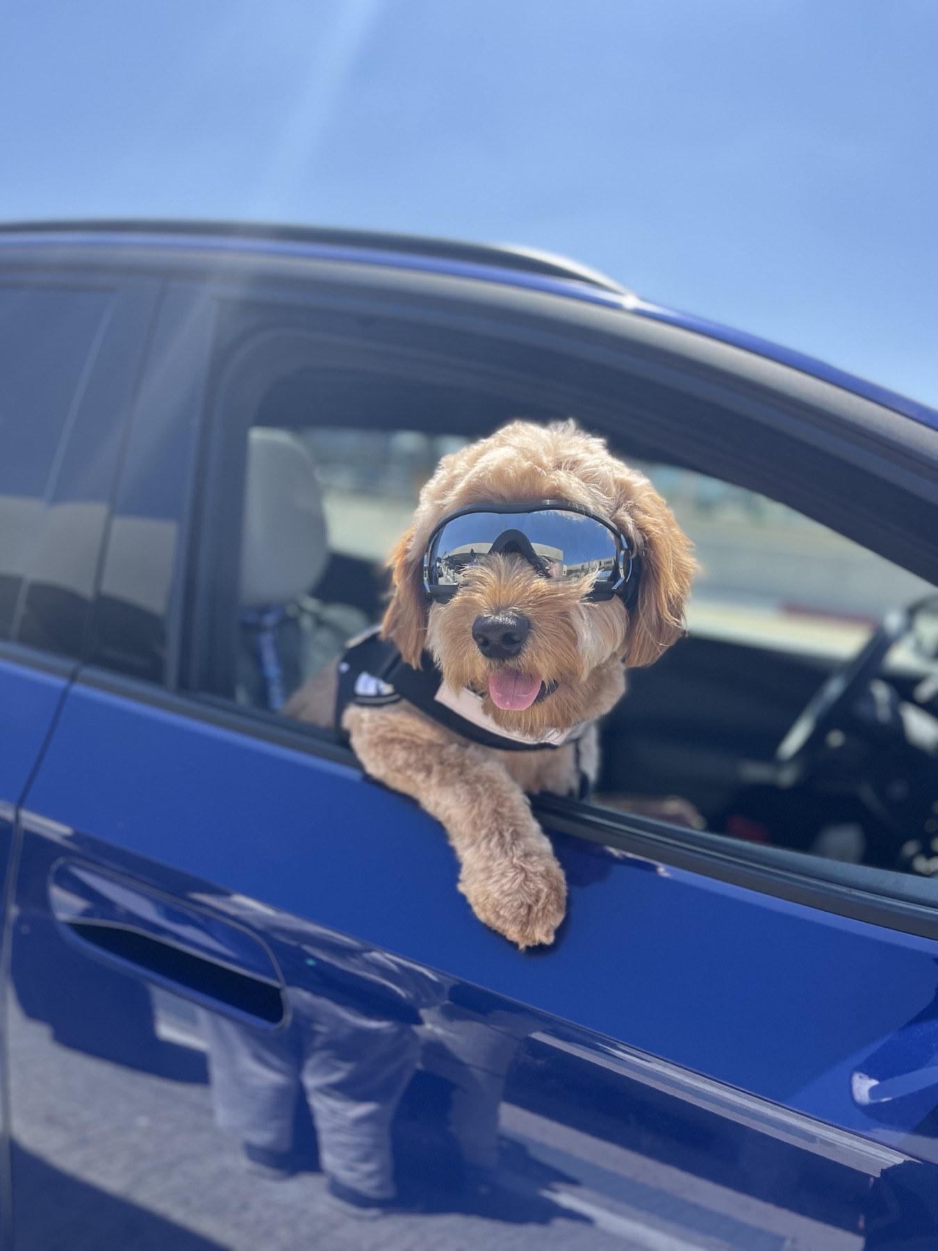 Arie in goggles in the car