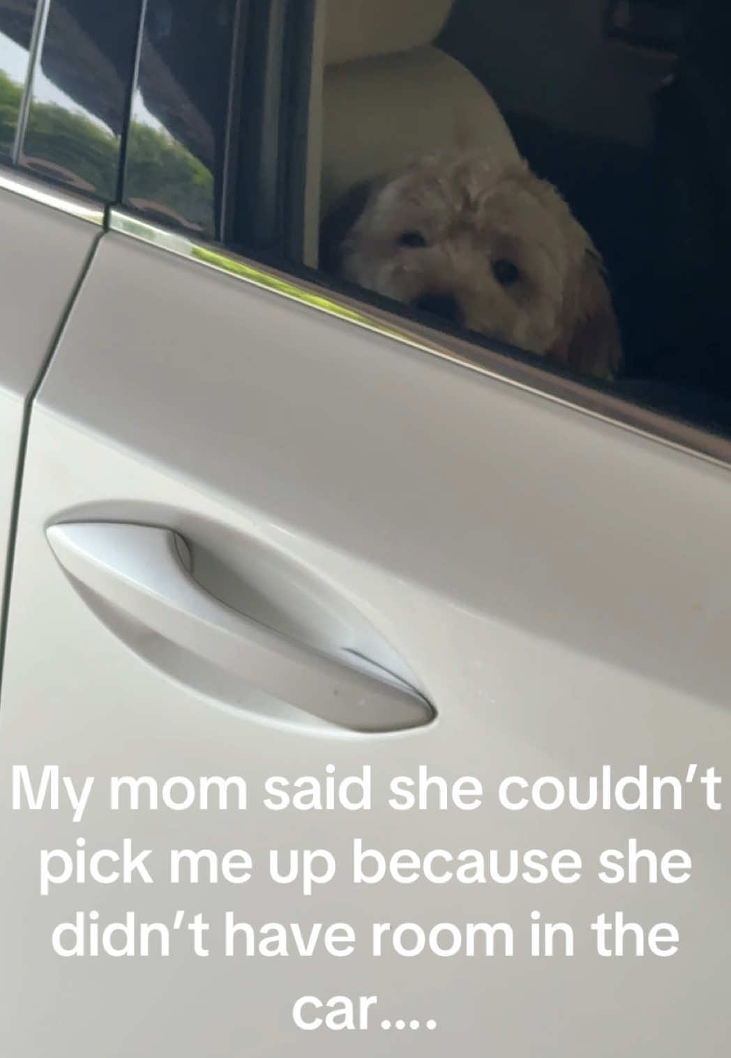 Only Grandchild Energy