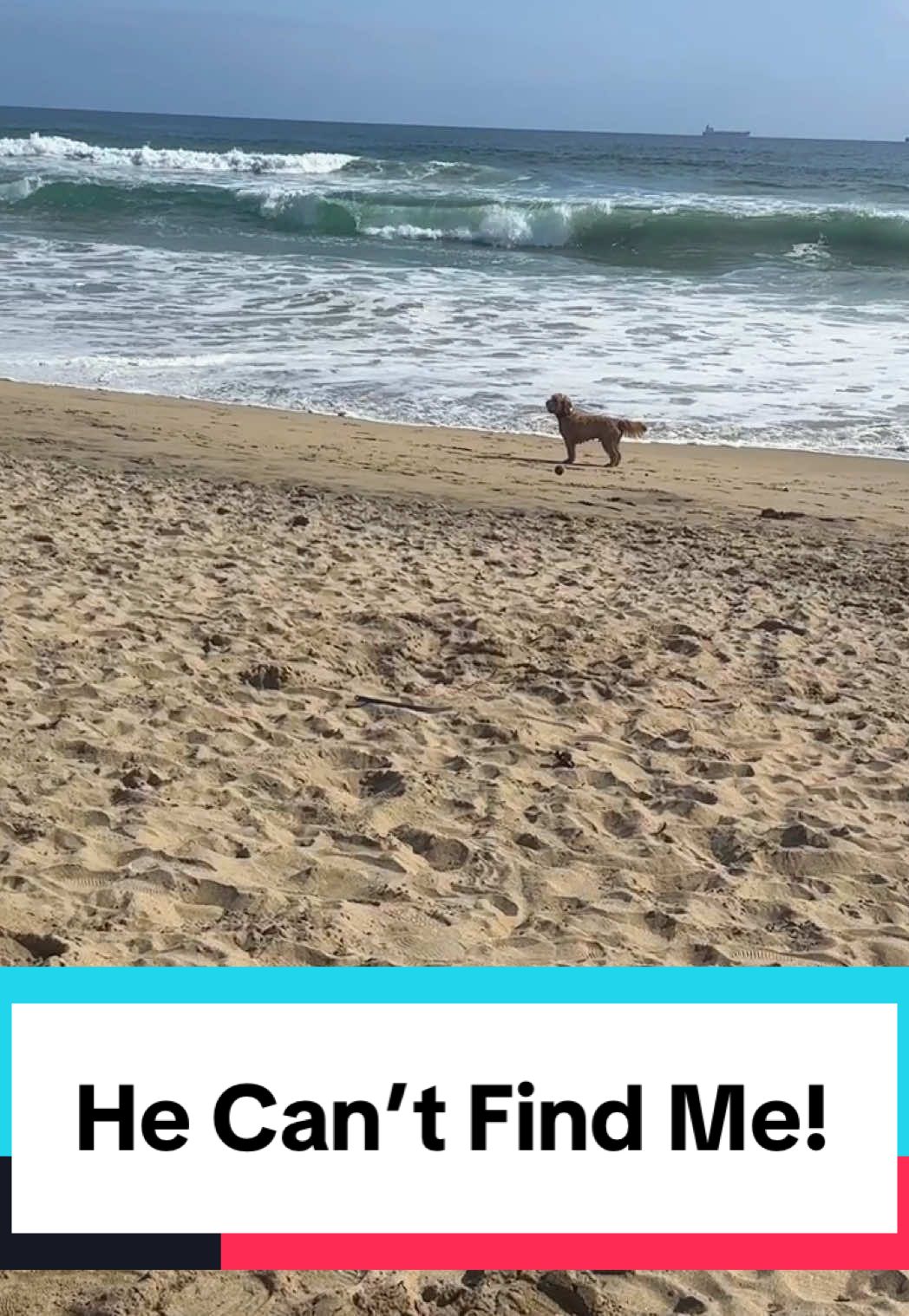 Lost at the Beach