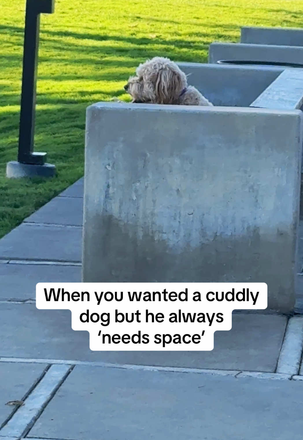 Won't Sit With Me