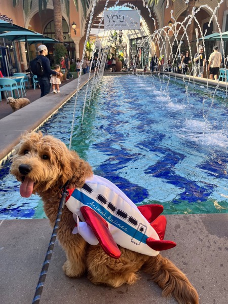 Arie out on an adventure