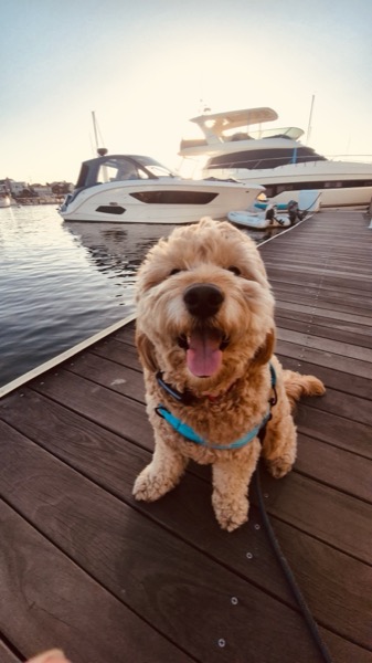 Arie on the dock at the harbor