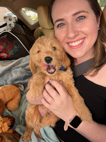 Arie in his puppy days