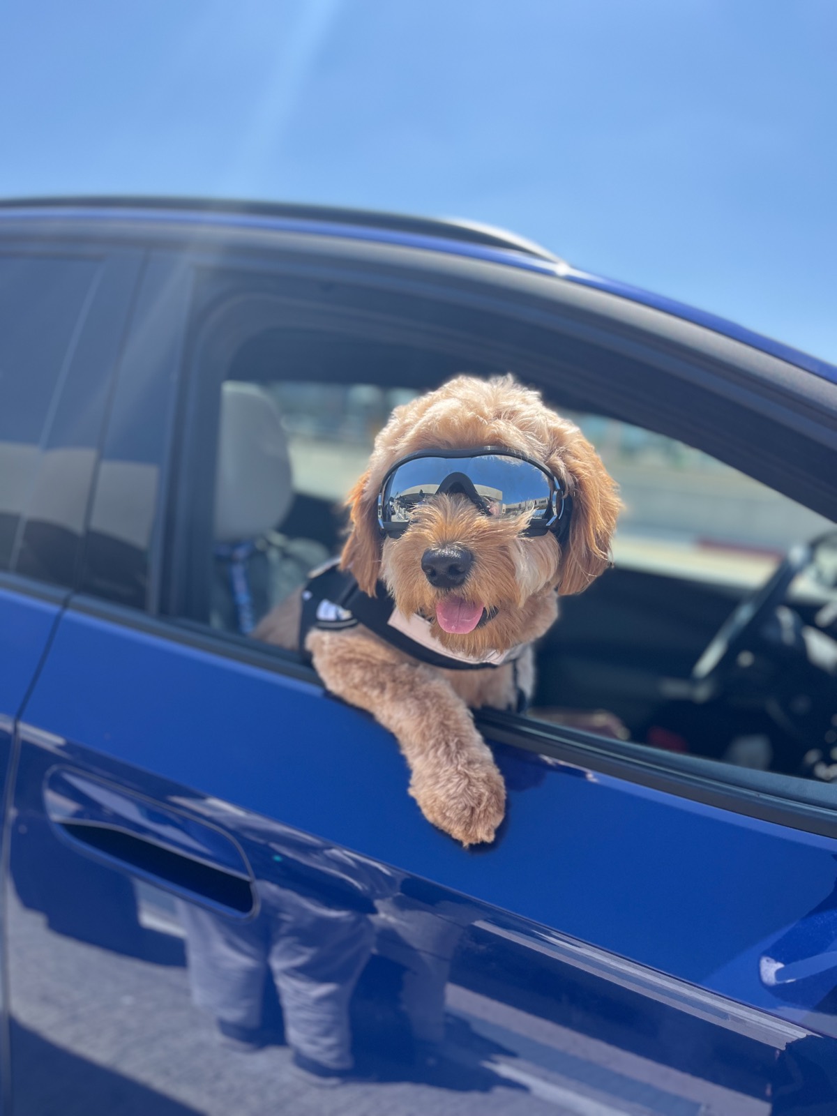 Arie with goggles